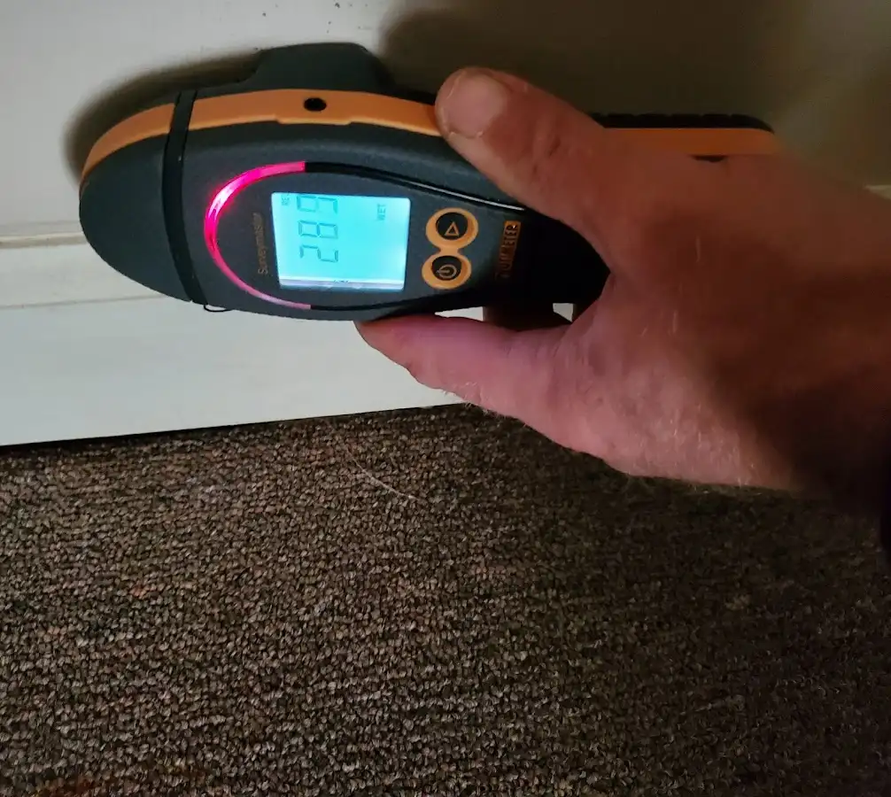 Moisture detection at baseboard during Mold Inspection & Testing in Granbury